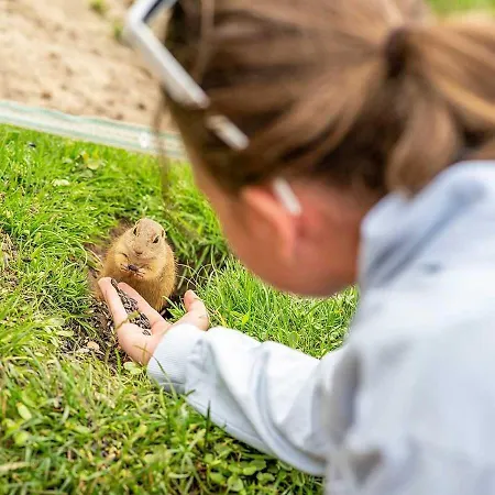 - Turisticke فندق