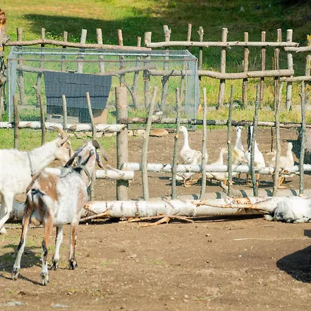 - Turisticke فندق *